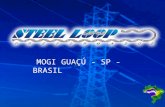MOGI GUAÇÚ - SP - BRASIL A EMPRESA A STEEL LOOP foi fundada no Brasil em 1995 e é o primeiro fabricante/desenvolvedor com tecnologia exclusivamente brasileira.