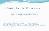 GASEIFICADORES ALKFIRE ® Energia de Biomassa João Batista G. de C. Rangel.Eng. agrônomo Cristal Coser de Camargo.MSC. Eng. Ambiental. Daniel Correia de.