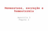 Homeostase, excreção e homeotermia Apostila 3 Página 2.