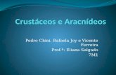 Pedro Chini, Rafaela Joy e Vicente Ferreira Prof.ª: Eliana Salgado 7M1.