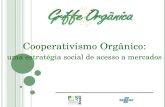 Cooperativismo Orgânico: uma estratégia social de acesso a mercados.