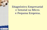Diagnóstico Empresarial e Setorial na Micro e Pequena Empresa.