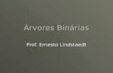 Árvores Binárias Prof. Ernesto Lindstaedt. Definições Uma árvore binária T é um conjunto finito de elementos denominados nós ou vértices, tal que: Uma.