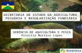 SECRETARIA DE ESTADO DA AGRICULTURA, PECUÁRIA E REGULARIZAÇÃO FUNDIÁRIA GERÊNCIA DE AQUICULTURA E PESCA Priscila Martins Lopes.