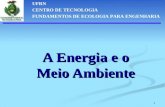 1 A Energia e o Meio Ambiente UFRN CENTRO DE TECNOLOGIA FUNDAMENTOS DE ECOLOGIA PARA ENGENHARIA.
