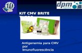 KIT CMV BRITE TURBO Antigenemia para CMV por Imunofluorescência.