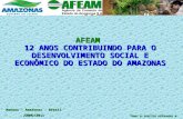 Manaus – Amazonas - Brasil JUNHO/2011 TODOS OS DIREITOS RESERVADOS ® AFEAM 12 ANOS CONTRIBUINDO PARA O DESENVOLVIMENTO SOCIAL E ECONÔMICO DO ESTADO DO.