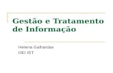 Gestão e Tratamento de Informação Helena Galhardas DEI IST.