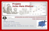 Gerentes do Projeto: Dr. Maurílio da Silva Ferraz Clóvis Gomes da Silva Correia Coordenador DIGEP/TJAL: Alexandre de Caiado C. Moraes.