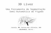 3D Liver Uma Ferramenta de Segmentação Semi- Automática do Fígado Correia, MM; Feitosa,RQ e Oliveira, DAB – UNIGRANRIO, PUC-RJ -