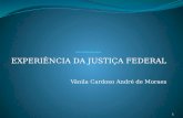 EXPERIÊNCIA DA JUSTIÇA FEDERAL Vânila Cardoso André de Moraes 1.