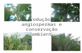Reprodução das angiospermas e conservação ecoambiental.