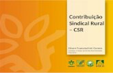 Contribuição Sindical Rural – CSR Hiram Franceschini Gomes Contador e Gestor do Núcleo Administrativo Financeiro.