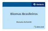Biomas Brasileiros Renata Schmitt. BIOMA Bioma, ou formação planta - animal, deve ser entendido como a unidade biótica de maior extensão geográfica, compreendendo.