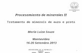 Procesamiento de minerales II Tratamento de minerais de ouro e prata Maria Luiza Souza Montevideo 16-20 Setembro 2013 1 UNIVERSIDADE DE LA REPUBLICA –