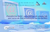 Universidade Federal do Rio Grande do Sul Escola de Administração Programa de Pós-Graduação em Administração Plataforma NAVi : percepções de alunos de.