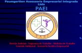 Paumgartten Assessoria Empresarial Integrada Ltda PAEI Perícias Judiciais - Segurança do Trabalho - Medicina do Trabalho Controle Ambiental - Assessoria.