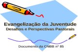 Evangelização da Juventude Desafios e Perspectivas Pastorais Documento da CNBB nº 85.
