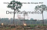 Ciclo de Seminários do Grupo PET Desmatamento Bolsista: Fernanda Garcia.