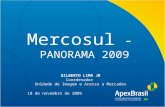 Mercosul - PANORAMA 2009 18 de novembro de 2009 GILBERTO LIMA JR Coordenador Unidade de Imagem e Acesso a Mercados.