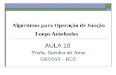 Algoritmos para Operação de Junção Loops Aninhados AULA 18 Profa. Sandra de Amo GBC053 – BCC.