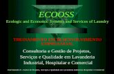 José Jasinski Jr - Gestor de Projetos, Serviços e Qualidade em Lavanderia Industrial, Hospitalar e Comercial ECOOSS Ecologic and Economic Systems and Services.