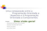 Uma comparação entre a Programação Orientada a Aspectos e a Programação Orientada a Componentes. Uma visão geral Grupo: Alexandre Henrique Vieira Soares.