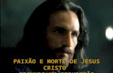 PAIXÃO E MORTE DE JESUS CRISTO SEGUNDO UM CIRURGIÃO.