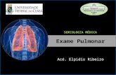 Acd. Elpidio Ribeiro SEMIOLOGIA MÉDICA. EXAME PULMONAR – MONITORIA SEMIOLOGIA MÉDICA- Acd. ELPIDIO RIBEIRO Exame Pulmonar INSPEÇÃOPALPAÇÃO.