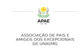 ASSOCIAÇÃO DE PAIS E AMIGOS DOS EXCEPCIONAIS DE UNAÍ/MG.