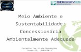 Meio Ambiente e Sustentabilidade: Concessionária Ambientalmente Adequada Carapina Centro de Convenções Serra/ES, 12/09/2013.