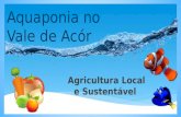 Agricultura Local e Sustentável. O que é? Porquê? O Projecto no Vale de Acór Aquaponia.