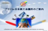 Atualização: 22.05.2013. HISTÓRICO 8 empresas importadoras de artigos domésticos criam a Cooperativa Registro legal como Sociedade Civil Passa a se chamar.