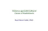 Sistema agrossilvicultural Cacau x Madeiráveis Raúl René Valle, PhD.