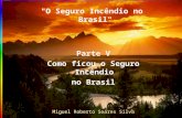 Miguel Roberto Soares Silva "O Seguro Incêndio no Brasil" Parte V Como ficou o Seguro Incêndio no Brasil.