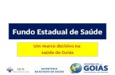 Fundo Estadual de Saúde Um marco decisivo na saúde de Goiás.