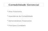 Área Financeira Importância da Contabilidade Demonstrativos Financeiros Princípios Contábeis Contabilidade Gerencial.