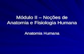 Módulo II – Noções de Anatomia e Fisiologia Humana Anatomia Humana.