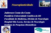 Neuroplasticidade Jaderson Costa da Costa Pontifícia Universidade Católica do RS Faculdade de Medicina, Divisão de Neurologia Hospital São Lucas, Serviço.