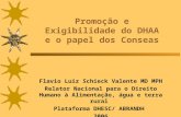 Promoção e Exigibilidade do DHAA e o papel dos Conseas Flavio Luiz Schieck Valente MD MPH Relator Nacional para o Direito Humano à Alimentação, água e.