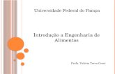 Universidade Federal do Pampa Introdução a Engenharia de Alimentos Profa. Valéria Terra Crexi.