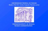 DIMENSIONAMENTO DE PESSOAL TÉCNICO-ADMINISTRATIVO UNIVERSIDADE FEDERAL DO PARANÁ Reitor: Prof. Dr. Carlos Augusto Moreira Junior.