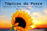 Tópicos da Prece Bezerra de Menezes/Chico Xavier: Apelos Cristãos.