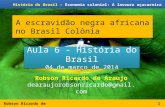 Robson Ricardo de Araujo História do Brasil – Economia colonial: A lavoura açucareira A escravidão negra africana no Brasil Colônia 1 Robson Ricardo de.