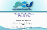 Reunião de Trabalho Agência Nacional de Águas – ANA Brasília, 08 e 09 de maio de 2012 PLANO PLURIANUAL BACIAS PCJ.