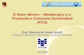 O Setor Mínero – Metalúrgico e a Produção e Consumo Sustentável (PCS) Eng° Marcelo de Souza Minelli Diretor de Engenharia, Tecnologia e Qualidade Ambiental.