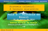Robson Ricardo de Araujo História do Brasil – Economia colonial: A lavoura açucareira Economia colonial: A lavoura açucareira 1 Robson Ricardo de Araujo.