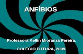 ANFÍBIOS Professora Kellin Mioranza Pereira. COLÉGIO FUTURA, 2009.