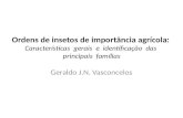 Ordens de insetos de importância agrícola: Características gerais e identificação das principais famílias Geraldo J.N. Vasconcelos.