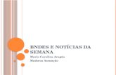 BNDES E NOTÍCIAS DA SEMANA Maria Carolina Aragão Matheus Assunção.